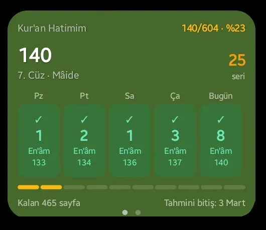 Hatim takip widget'ı — bugün ve son günlerin hücre şeridi